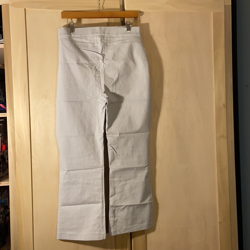 Free People Pinstripe Navy and White Trouser Pants - Picture 3 of 8